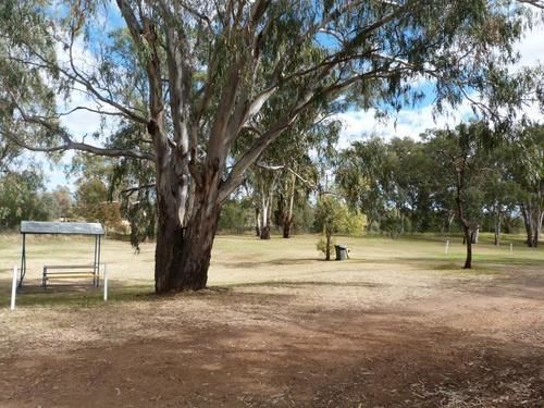 Narrabri Big Sky Caravan Park Exterior foto